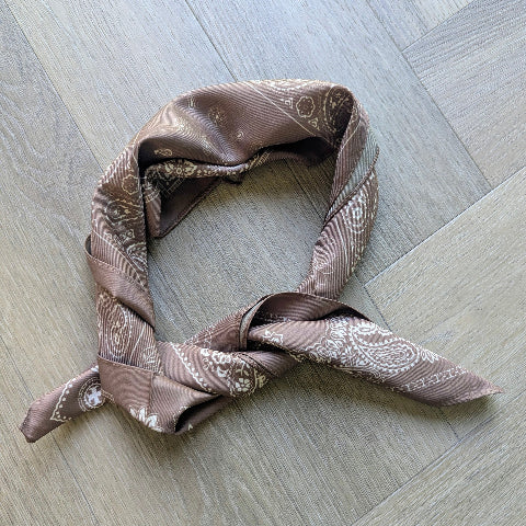 SJAALTJE BRUIN H0274
